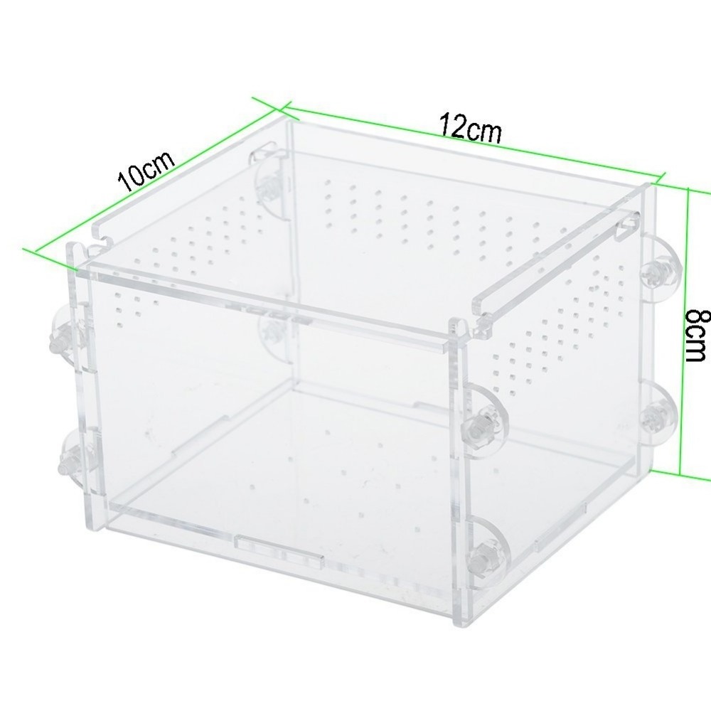 Lizard Chameleon Spider Snake or Other Reptiles & Amphibians Acrylic Transparent Reptiles Terrarium Container