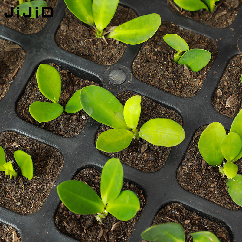 JiJiD Durable 21/32/50/72/105/128 Cells Flower Vegetables Plant Germination Growing Seedling Trays Garden Nursery Tray