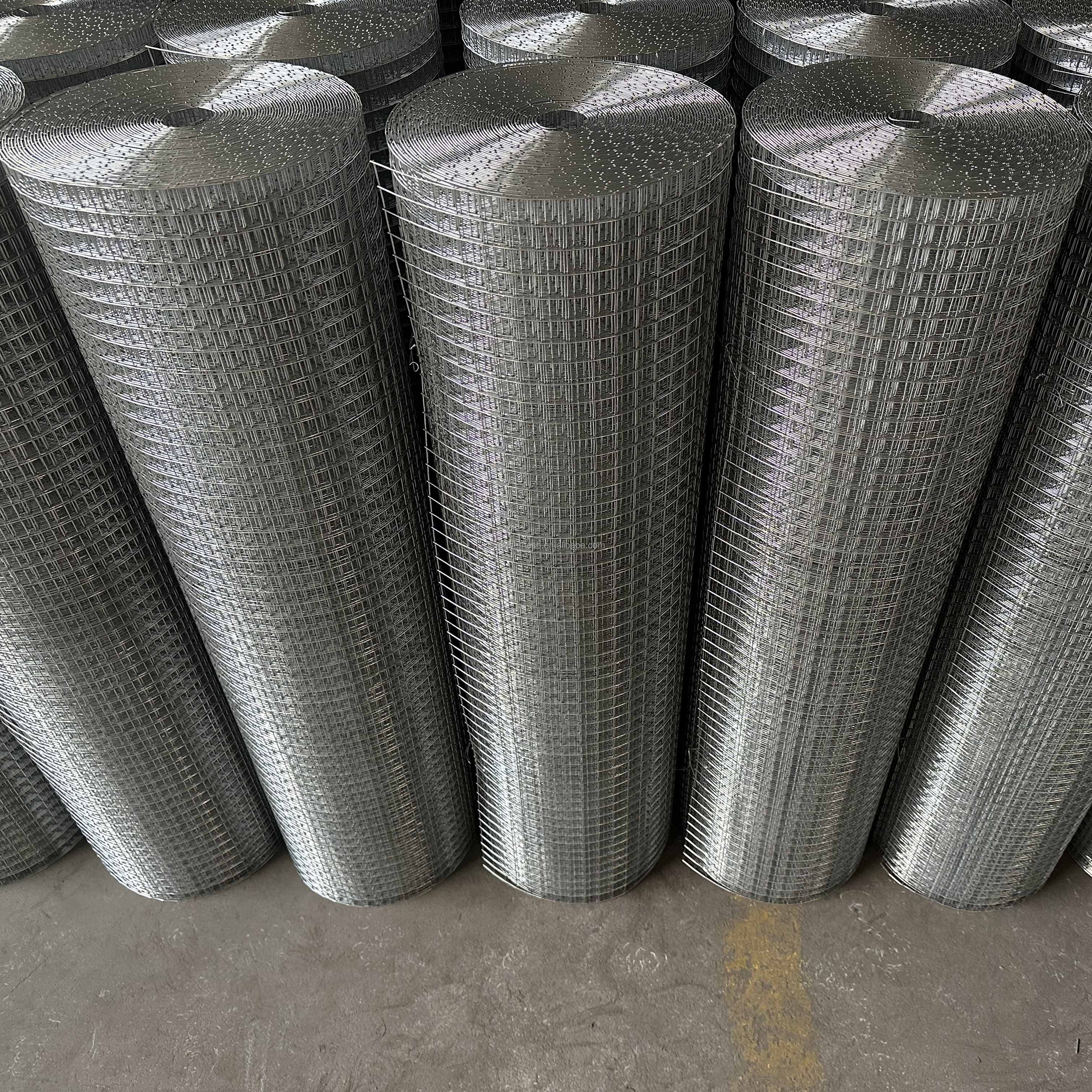 Stainless Steel Welded Wire Mesh/Welded Netting/Building Wire Mesh