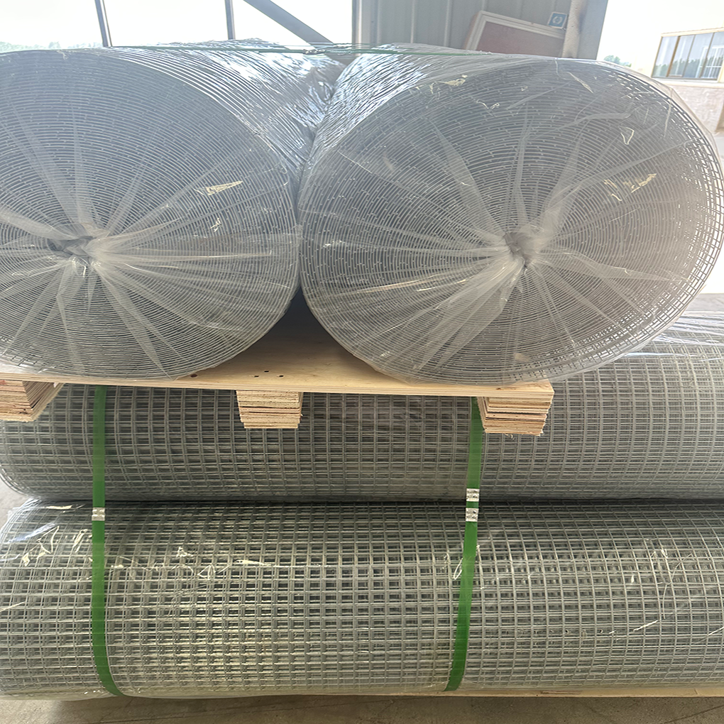 Wholesale galvanized welded wire mesh direct factory