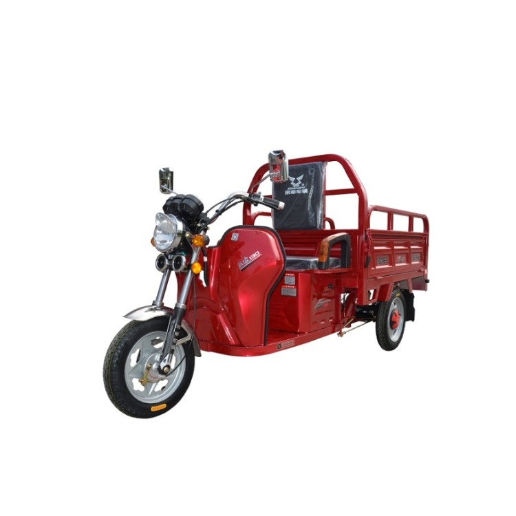 New Hot deal 1000W electric tricycles self-discharging Cargo truck 3 wheel motorcycle electric car adult for sale