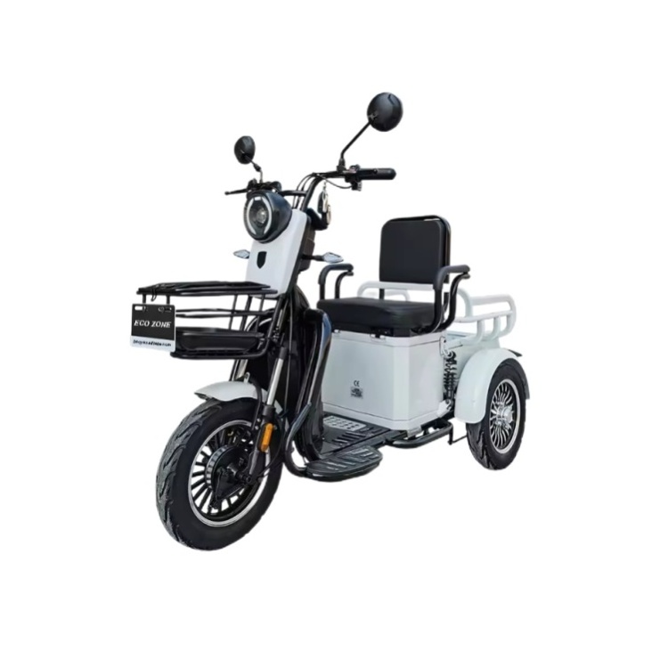 Electric Three Wheeler Scooter Passenger Tricycle Scooter with Back Seat for Adults