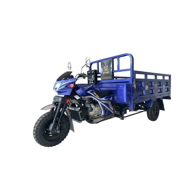 Best Price Adult Motorized Tricycles Bicycles Three Wheel Chinese Trike Motorcycle