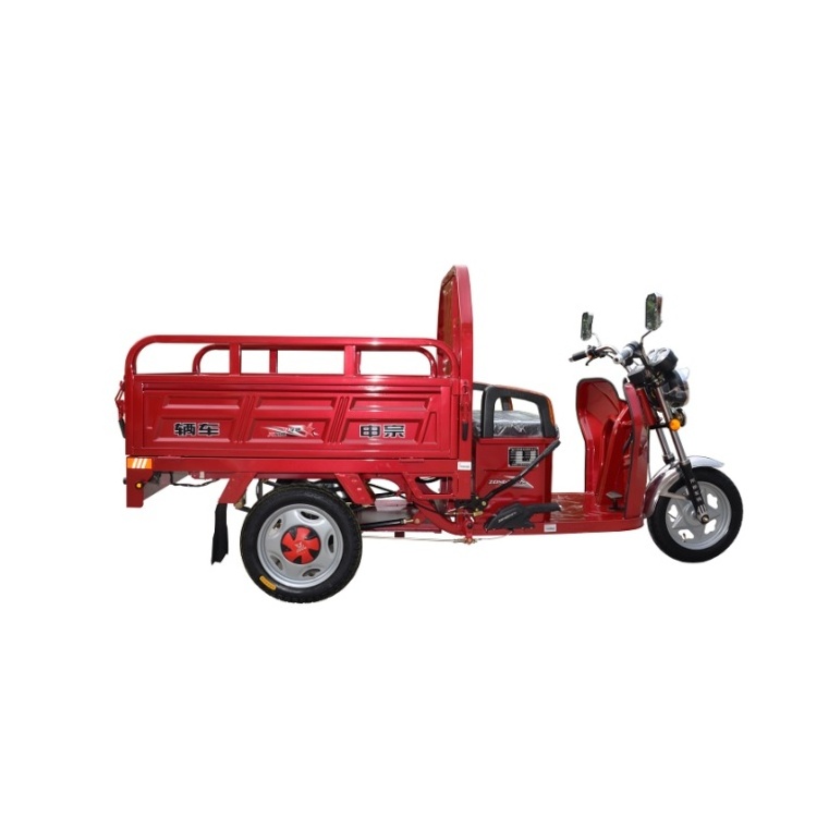 New Hot deal 1000W electric tricycles self-discharging Cargo truck 3 wheel motorcycle electric car adult for sale