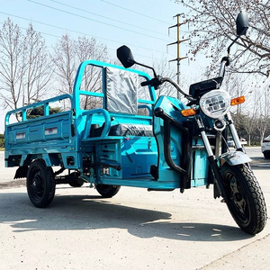 Best Selling Adult 3 wheel cargo tricycle 60v electric passenger tricycles Convenient 3 wheel Electric Mobility Scooter