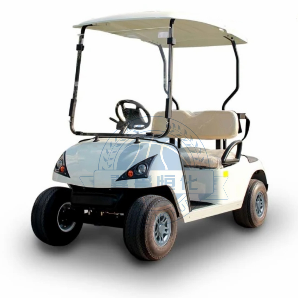 Customize Electric Golf Car Long Range 4 Wheel Club Drive Lithium Battery Golf Cart Electric 2/4 /6 Seater Cart