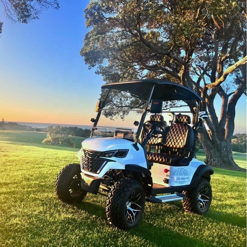 Versatile 2 seater, 4 seater, 6 seater golf carts with rain shades removable