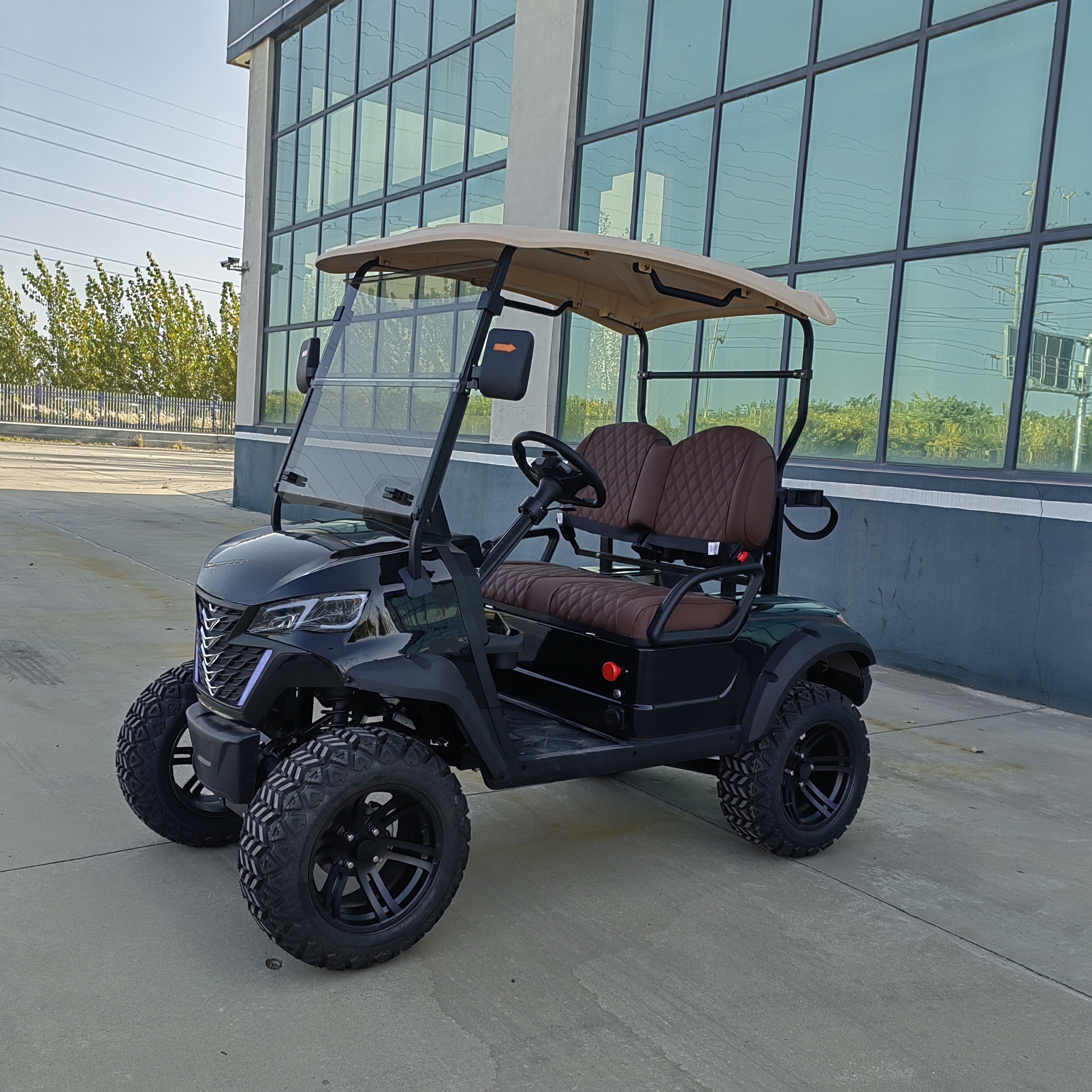 Combination Design Golf Cart 2 Seaters Golf Carts Trailers