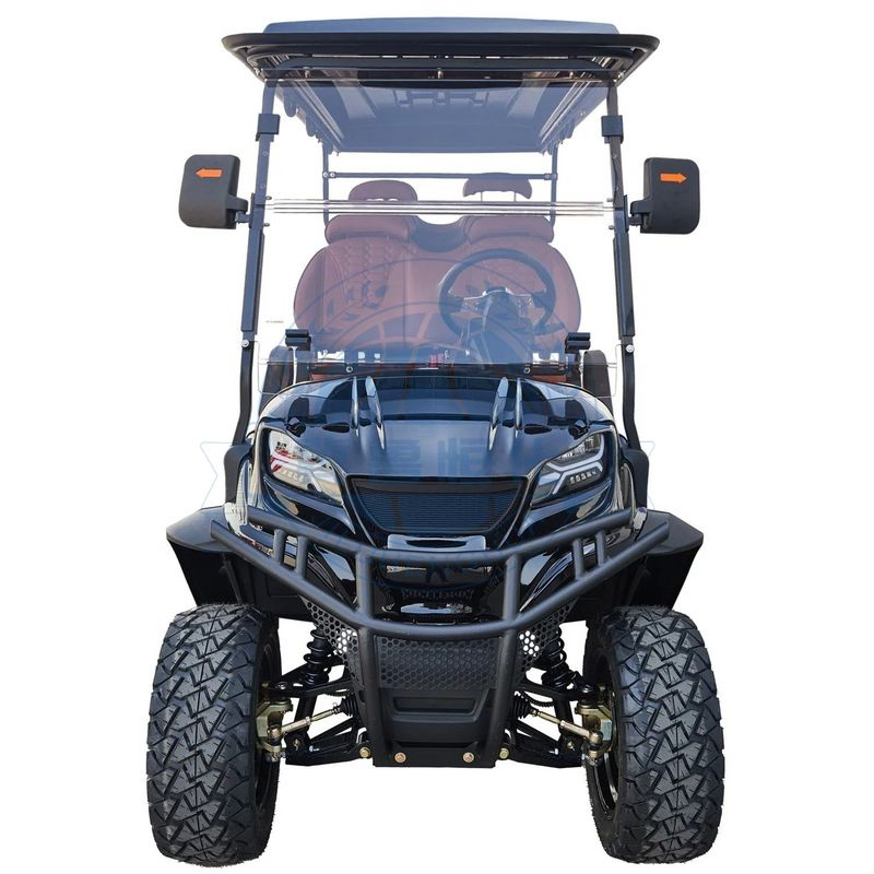 Wholesale golf cart electric utility vehicle 6 seater golf cart luxury 2/4/6/8/10 seater golf cart with gas or electric power