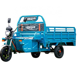 24 inch electric trike fat tire 3 wheel Electric Tricycle three wheels adult cargo electric bike with basket