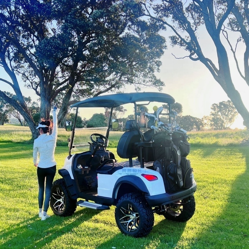 Versatile 2 seater, 4 seater, 6 seater golf carts with rain shades removable