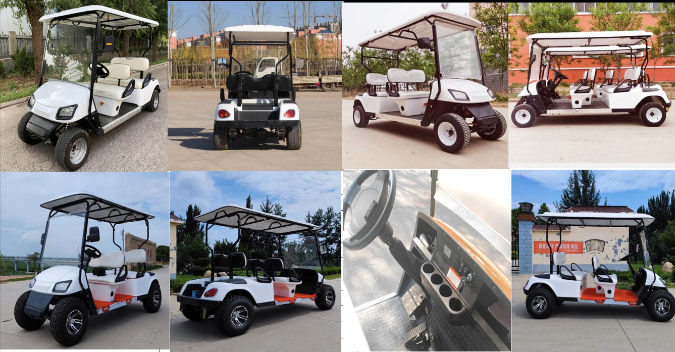 6 Seater Electric Golf Cart with 2-Week Door-to-Door Delivery Features a Tail Caddie with Standing Position for Sale