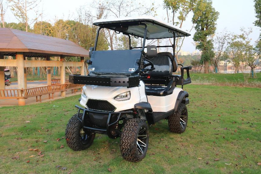 EPA approved 6 passenger off road golf cart with motor for sale 4 seater golf cart with gas or electric power