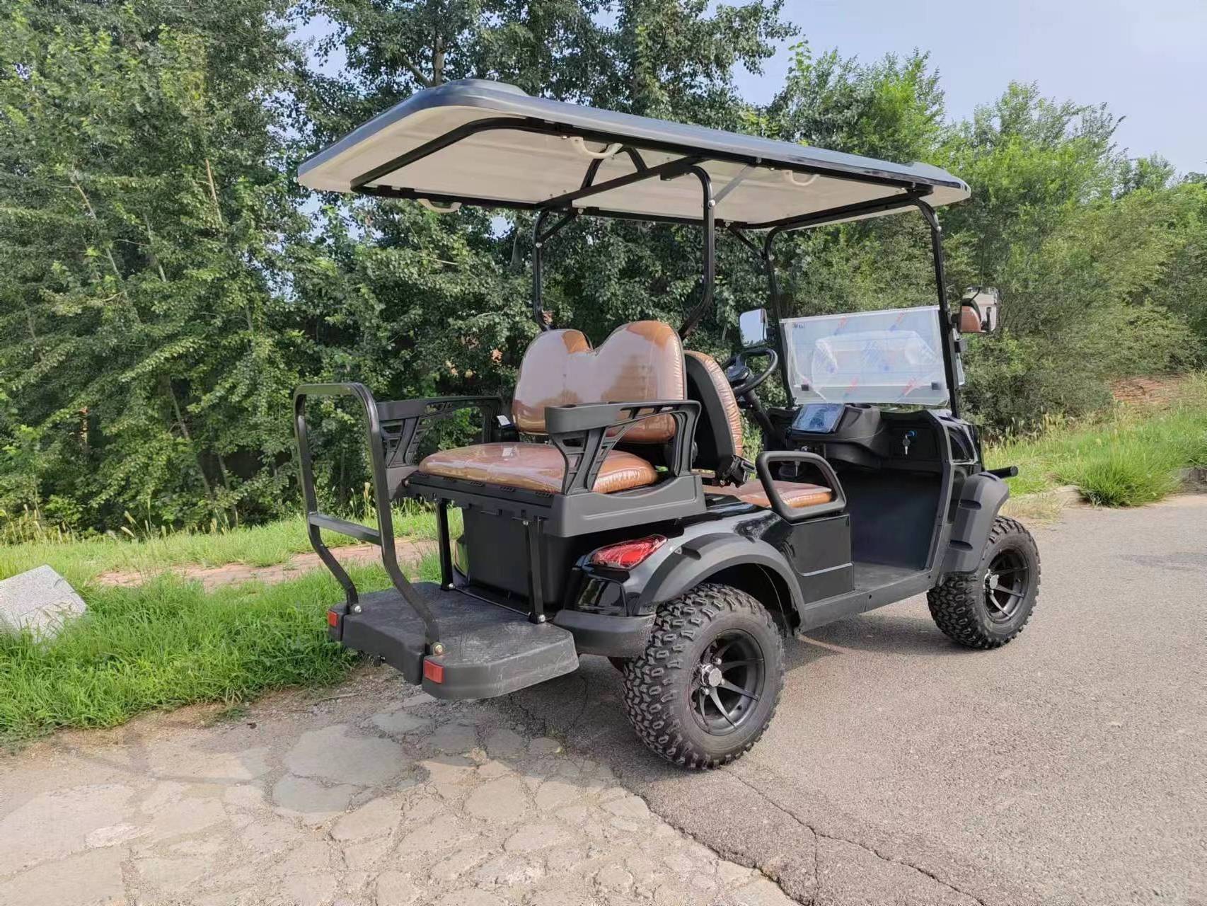 2 4 6 seater electric golf carts cheap prices buggy car for sale