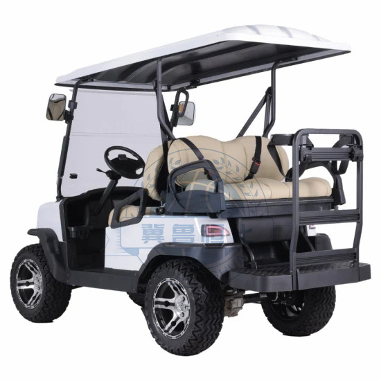 Customize Electric Golf Car Long Range 4 Wheel Club Drive Lithium Battery Golf Cart Electric 2/4 /6 Seater Cart