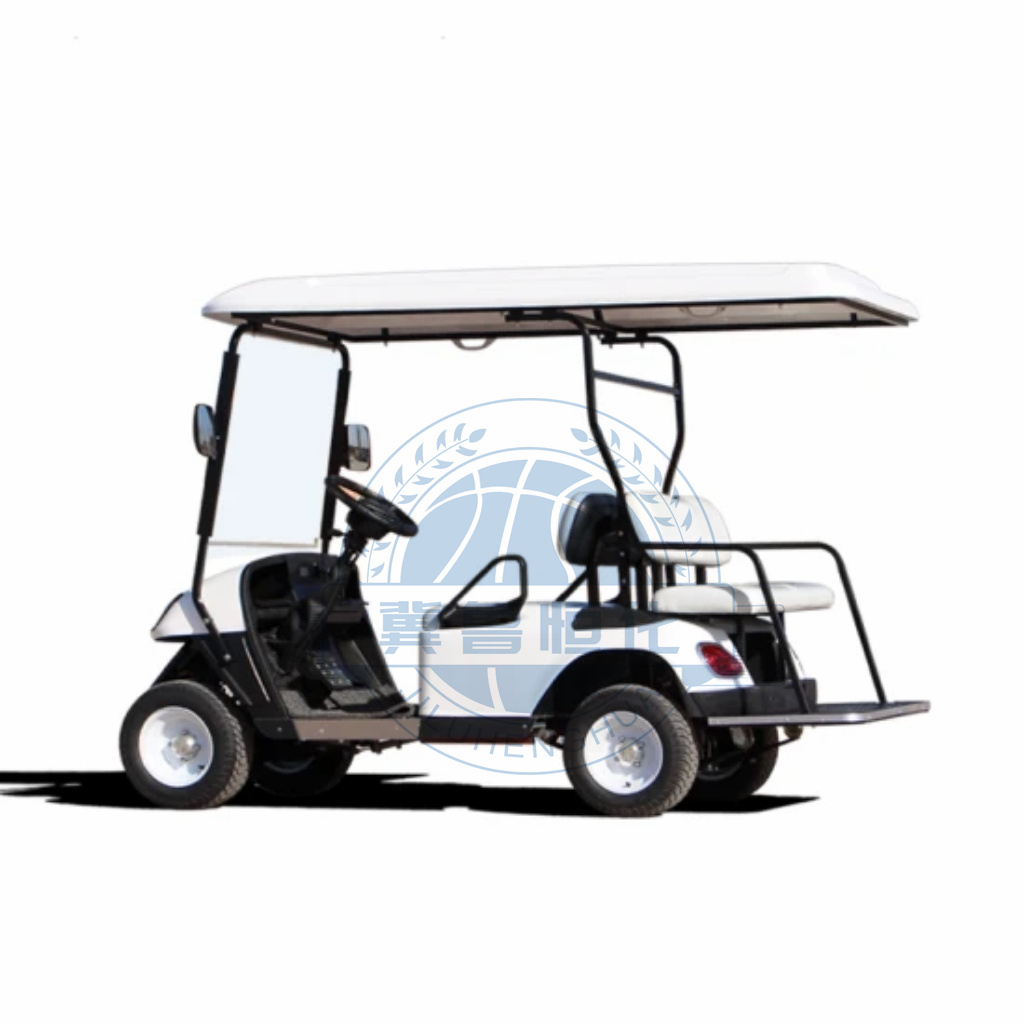 Customize Electric Golf Car Long Range 4 Wheel Club Drive Lithium Battery Golf Cart Electric 2/4 /6 Seater Cart