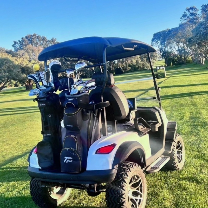 Versatile 2 seater, 4 seater, 6 seater golf carts with rain shades removable