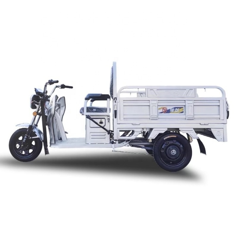 USA Warehouse 1000W 750 Watt Electrie Trike Electric Bicycle 3 Three Wheel Fat Tire Cargo Bike Electric Tricycles