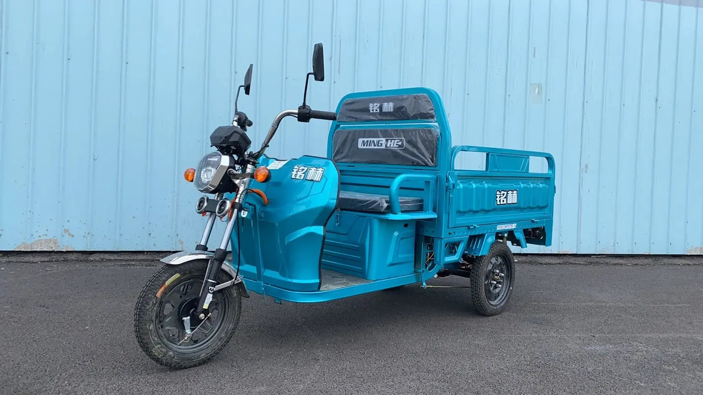 High quality 1000W /1200w custom logo  for Courier delivery Cargo electric tricycles Model