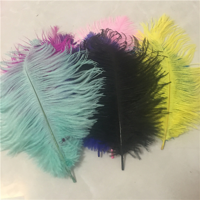 Millinery Supplies Ostrich Plumes Feather