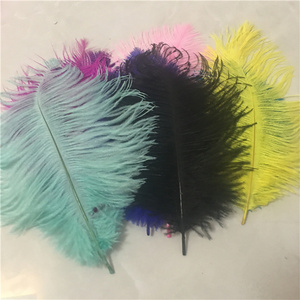 Millinery Supplies Ostrich Plumes Feather