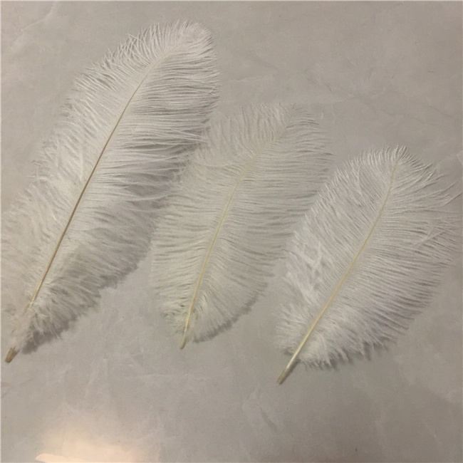 Millinery Supplies Ostrich Plumes Feather