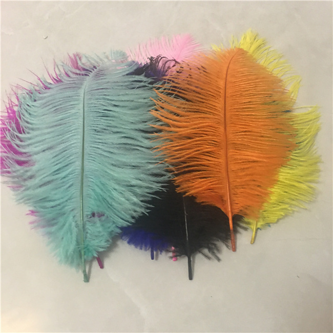 Millinery Supplies Ostrich Plumes Feather