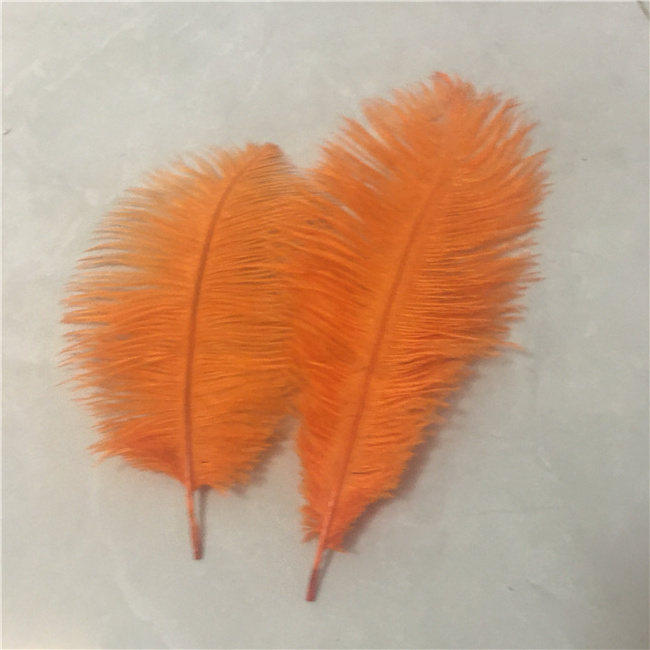 Millinery Supplies Ostrich Plumes Feather