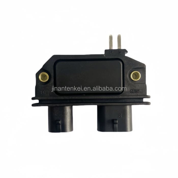 Quality guaranteed Ignition Module D1990 D1943A with Magnetic