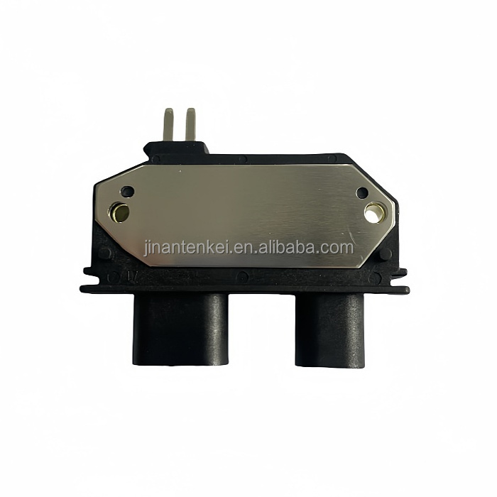 Quality guaranteed Ignition Module D1990 D1943A with Magnetic