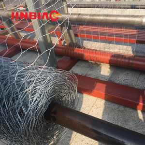 galvanized wire mesh rolls double twisted hexagonal mesh netting