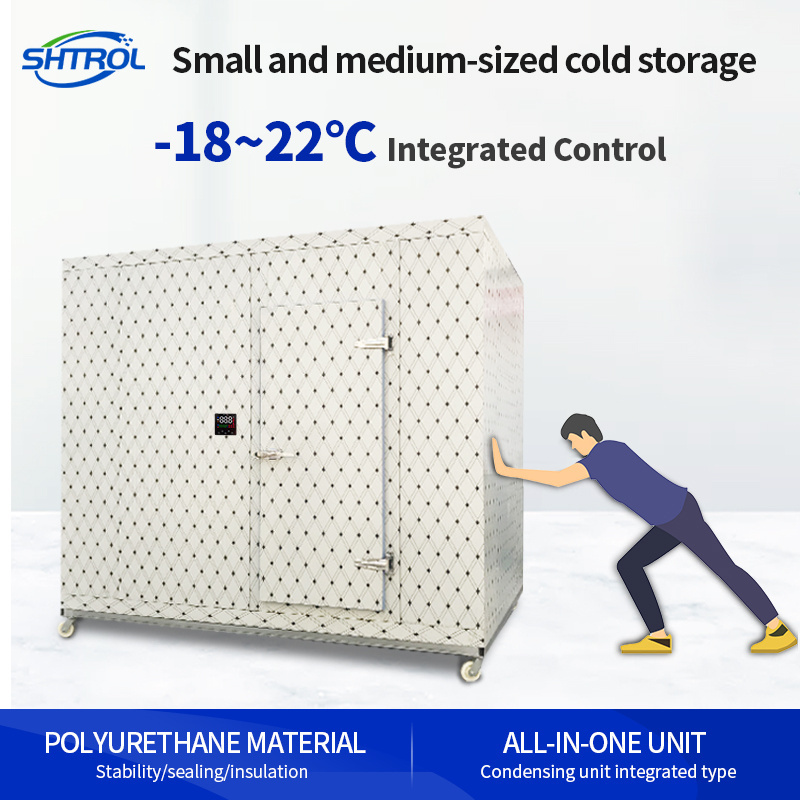 Walk In Freezer/Cooler Cold Room Storage Refrigerator Equipment Condensing Unit Mobile Cold Room For Freezer