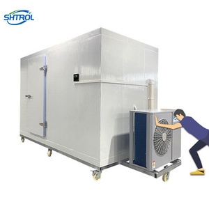 10ft Mini Easy Operate Cold Room Supplier Sale Container Commercial Refrigeration Compressor Unit  Freezer Storage Room For Meat