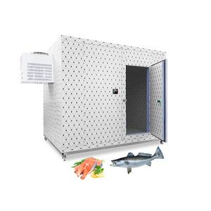 Walk In Freezer/Cooler Cold Room Storage Refrigerator Equipment Condensing Unit Mobile Cold Room For Freezer