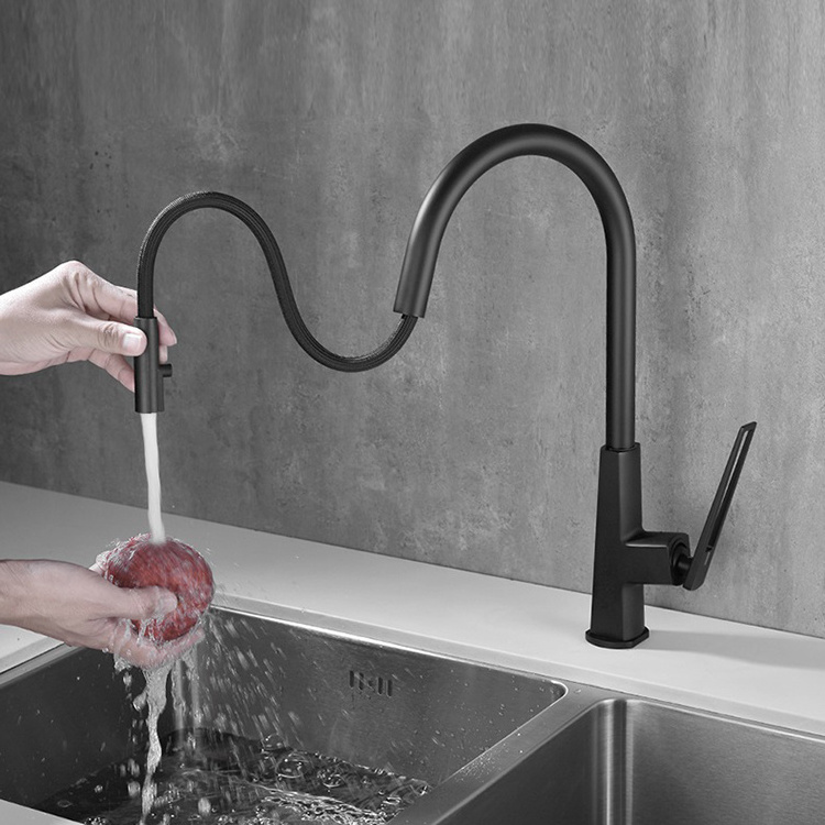 Goose Neck Brass kitchen mixer faucet pull out tap kitchen faucet with pull out sprayer