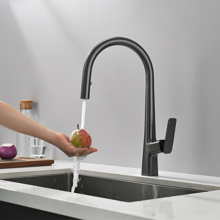 Silver High Arc Pull Down Kitchen Sink Faucet with Pull Down Sprayer