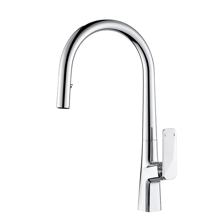 Silver High Arc Pull Down Kitchen Sink Faucet with Pull Down Sprayer