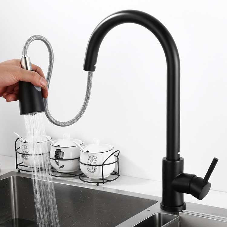 Matte Black Stainless Steel Swivel Kitchen Sink Faucets with Pull Out Spout