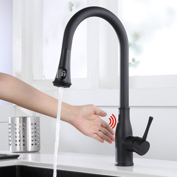 Stainless Steel Smart Touchless Sensor Kitchen Faucet with Pull Down Digital Display Sprayer