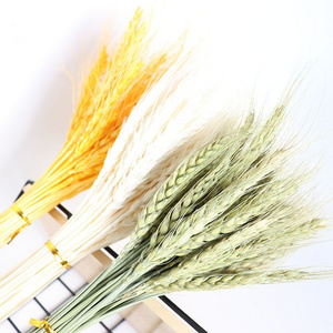 JD-F01 2021 Hot Selling Dried Flower for Home Decoration Natural Wheat Grain Flowers Dry Grass