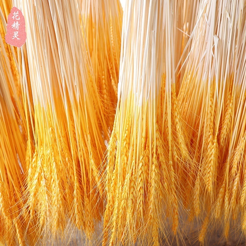 JD-F01 2021 Hot Selling Dried Flower for Home Decoration Natural Wheat Grain Flowers Dry Grass