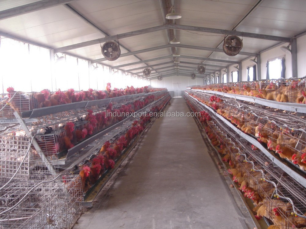 Chicken poultry farm cow house Ventilation exhaust fan vent fan