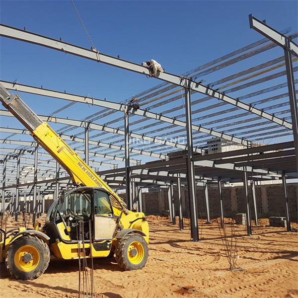 Pre Built Metal Warehouse Prefab Long Span Light Weight Metal Steel Structure Building Steel Roofing Truss