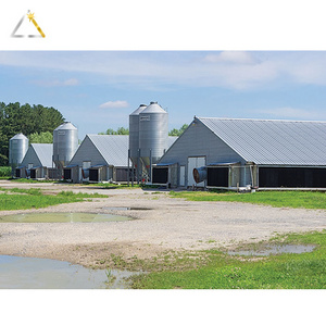 Fabricated Prefabricated Barn Poultry Chicken Steel Structure Farm Animal House High Quality Shed