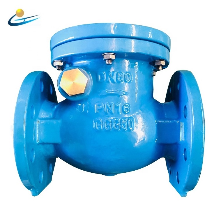 Ductile Cast Iron Double Flanged Brass Seat Swing Check Valve Non Return Check valve