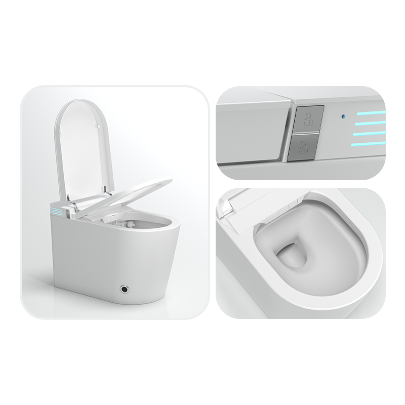 Apolloxy Decor New Style Siphon Flush Ceramic Toilet Lady Cleanse Smart Toilet Flush System