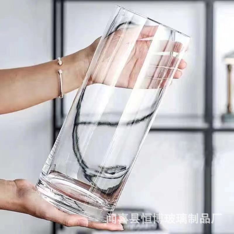 Vase glass transparent flower arrangement decoration living room hydroponic water culture straight cylinder snow willow horse dr