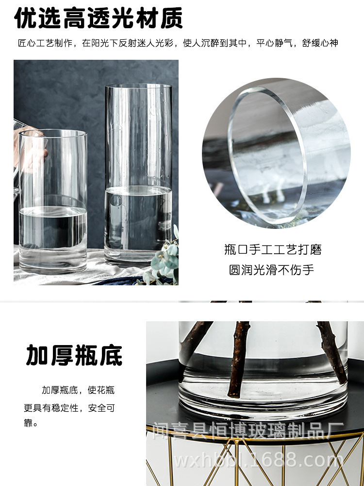 Vase glass transparent flower arrangement decoration living room hydroponic water culture straight cylinder snow willow horse dr