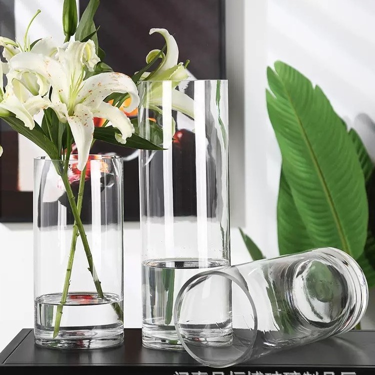 Vase glass transparent flower arrangement decoration living room hydroponic water culture straight cylinder snow willow horse dr