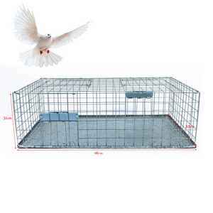 Durable Rust Resistant Pigeon and Other Bird Trap Bird  Pest Control Bird Cage Trap